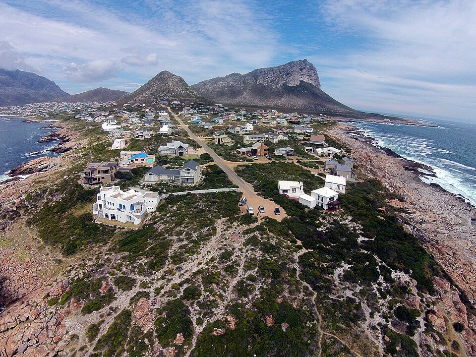 South Africa — mobile commerce apps for local businesses