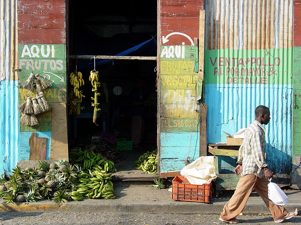 Puerto Plata — local market for service booking platforms