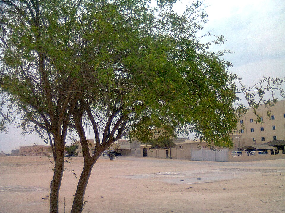 Al Khor — online stores for local businesses