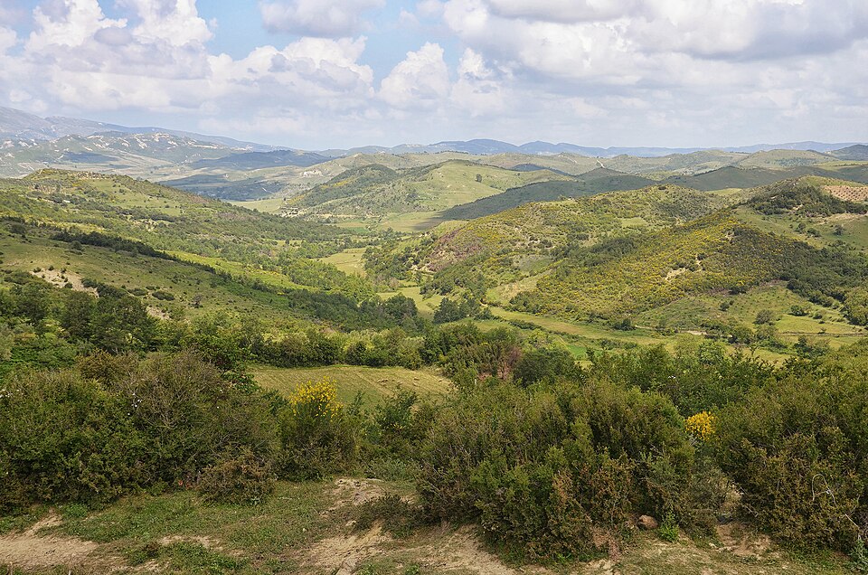 Albania — local market for multi-vendor marketplaces