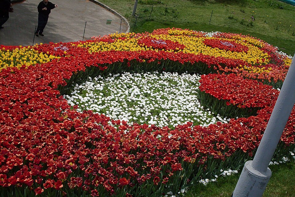 Ukraine — local market for manufacturer and distributor portals