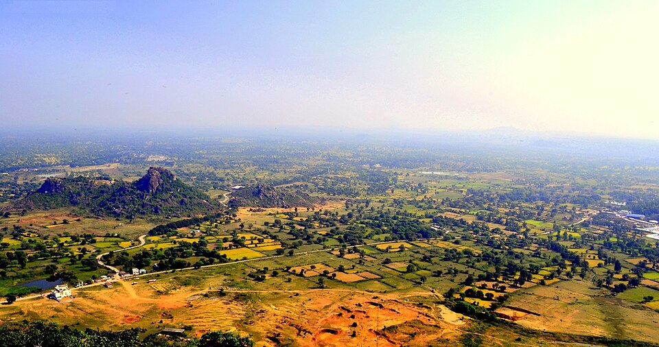 Dongargarh — local market for online stores