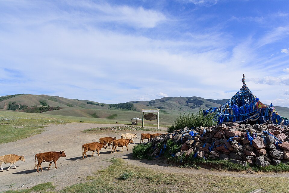 Mongolia — mobile commerce apps for local businesses