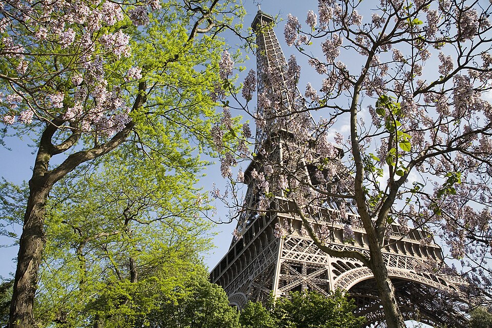 Paris — local market for B2B and wholesale portals
