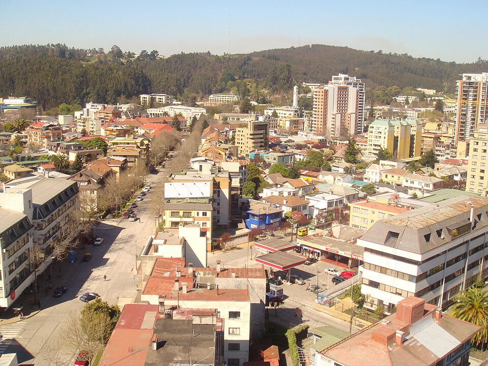 Concepción — B2B and wholesale portals for local businesses