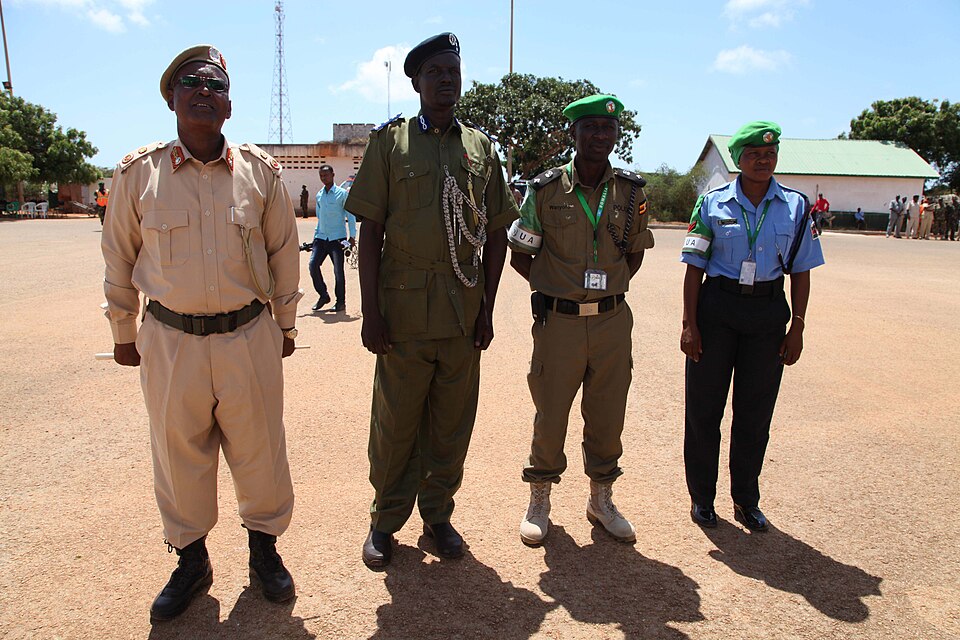 Kismayo — B2B and wholesale portals for local businesses