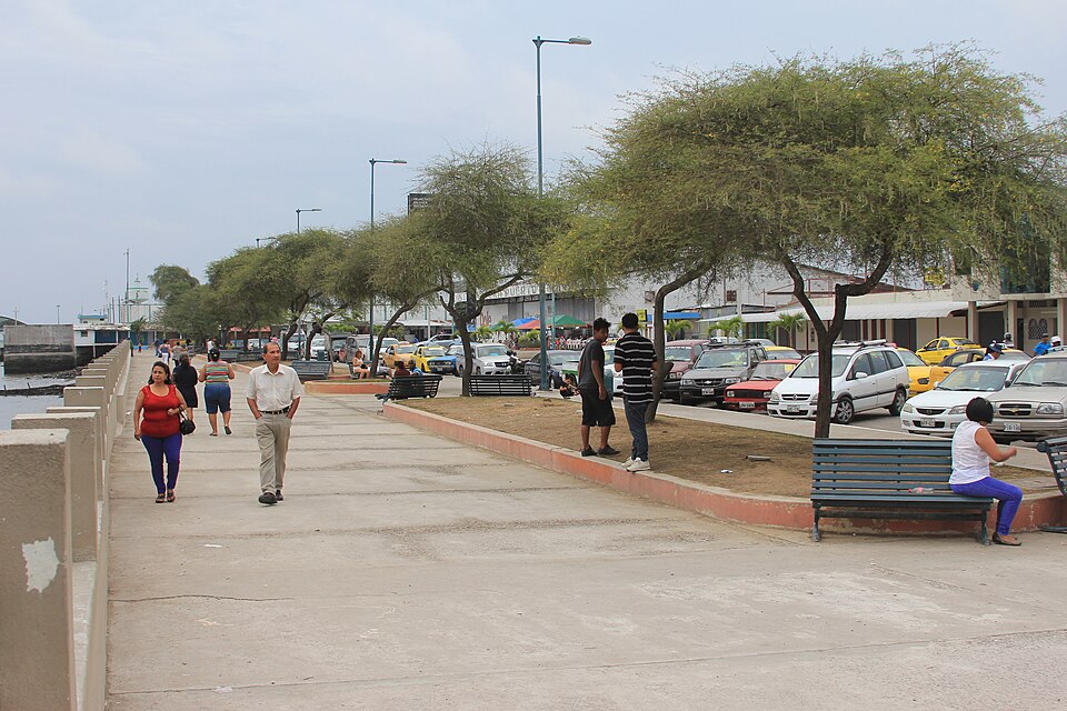 Machala — B2B and wholesale portals for local businesses