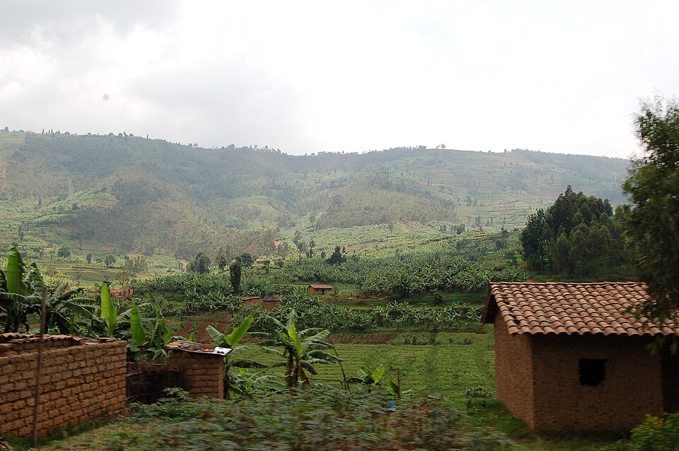 Rwanda — local market for mobile commerce apps
