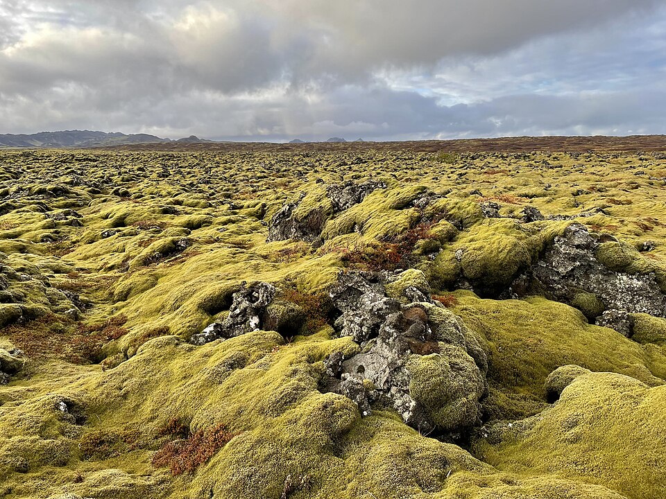 Iceland — international and multi-region stores for local businesses