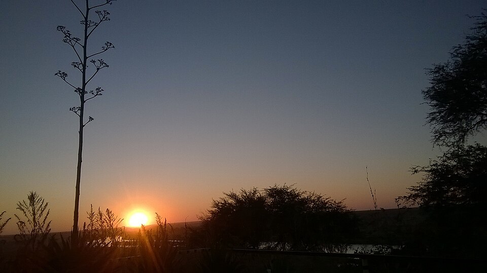 Rundu — multi-vendor marketplaces for local businesses