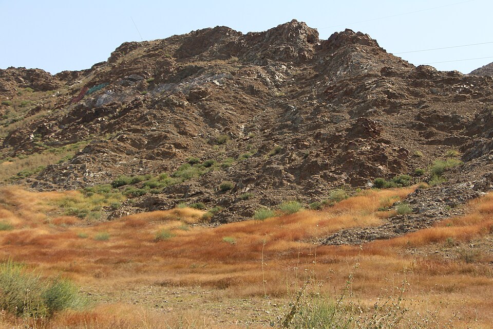 Dibba Al-Fujairah — local market for B2B and wholesale portals