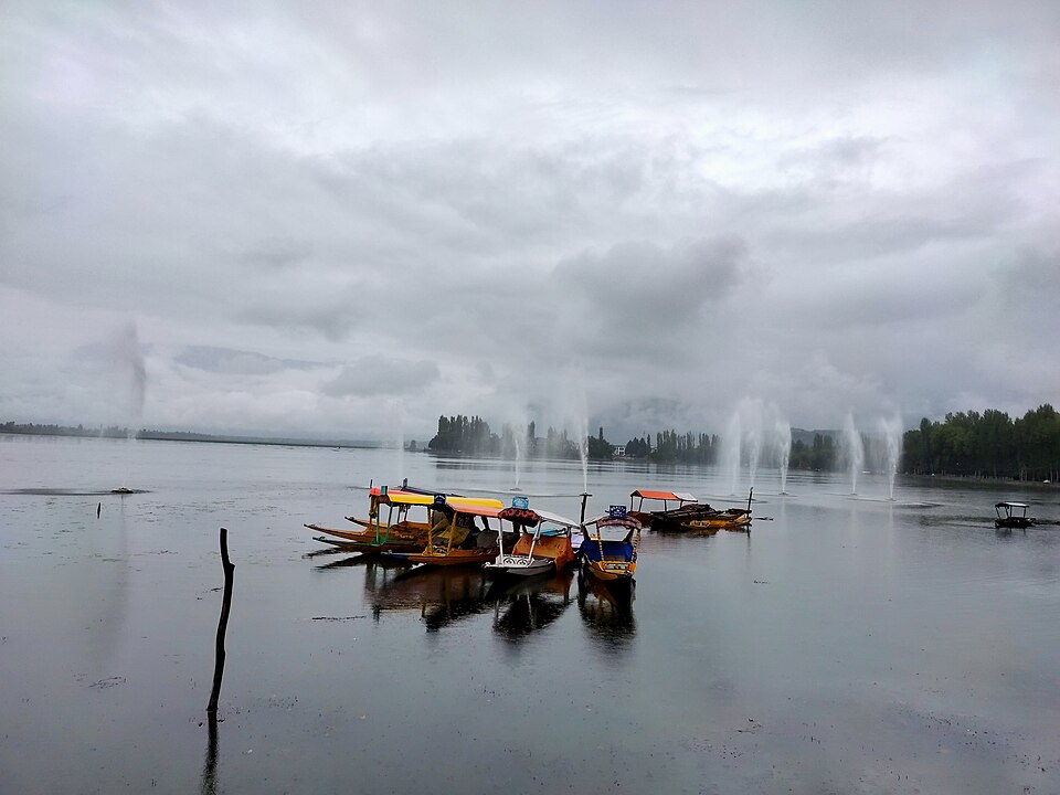Srinagar — local market for mobile commerce apps