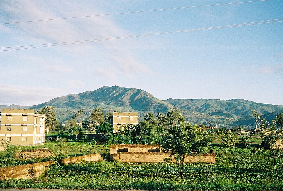 Mbeya — mobile commerce apps for local businesses