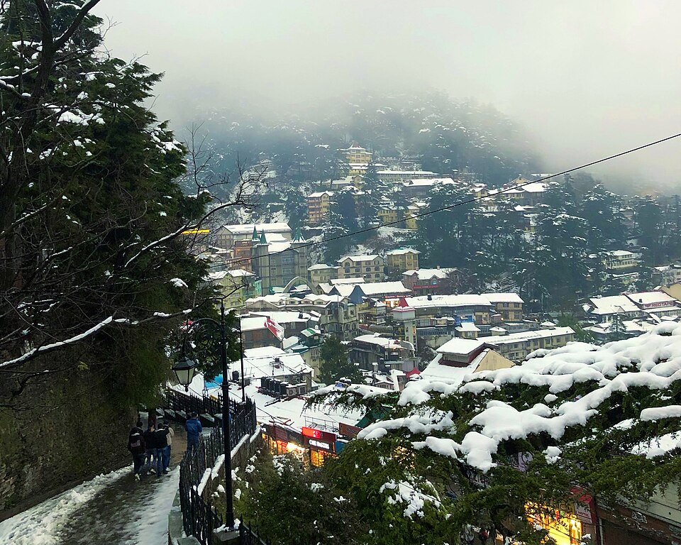 Shimla — international and multi-region stores for local businesses