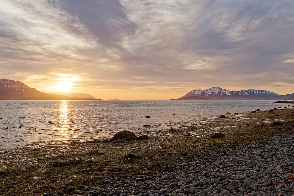 Iceland — B2B and wholesale portals for local businesses