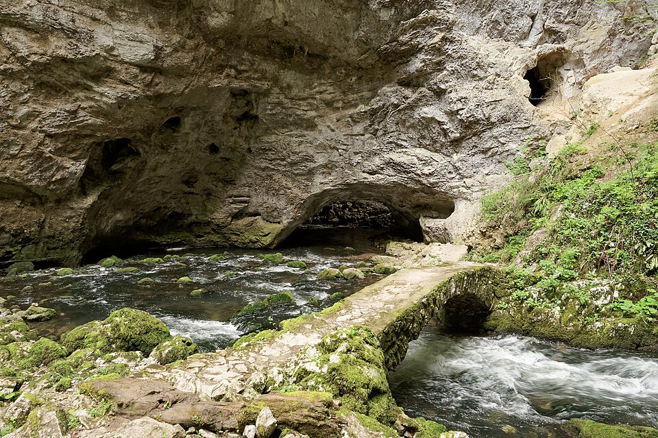 Slovenia — local market for online stores