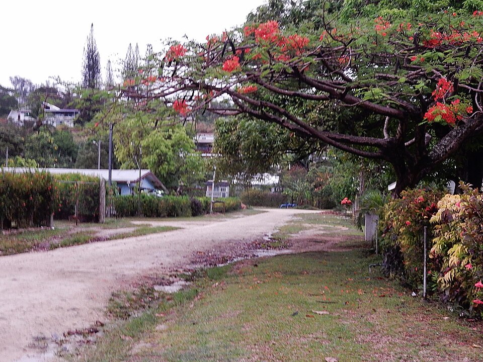 Luganville — international and multi-region stores for local businesses