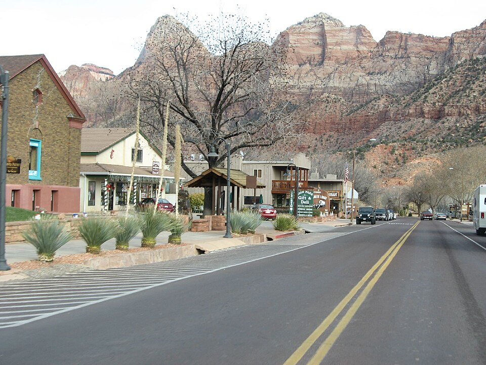 Springdale — local market for service booking platforms