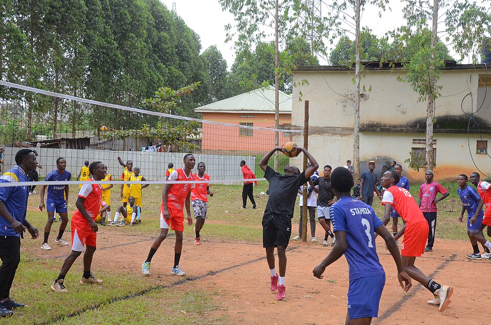 Wakiso — manufacturer and distributor portals for local businesses