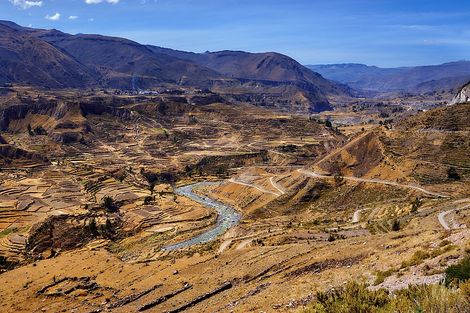 Peru — B2B and wholesale portals for local businesses