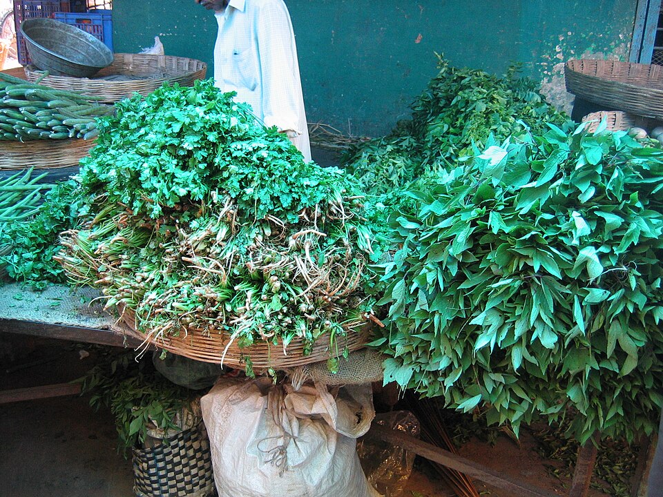 Guntur — manufacturer and distributor portals for local businesses