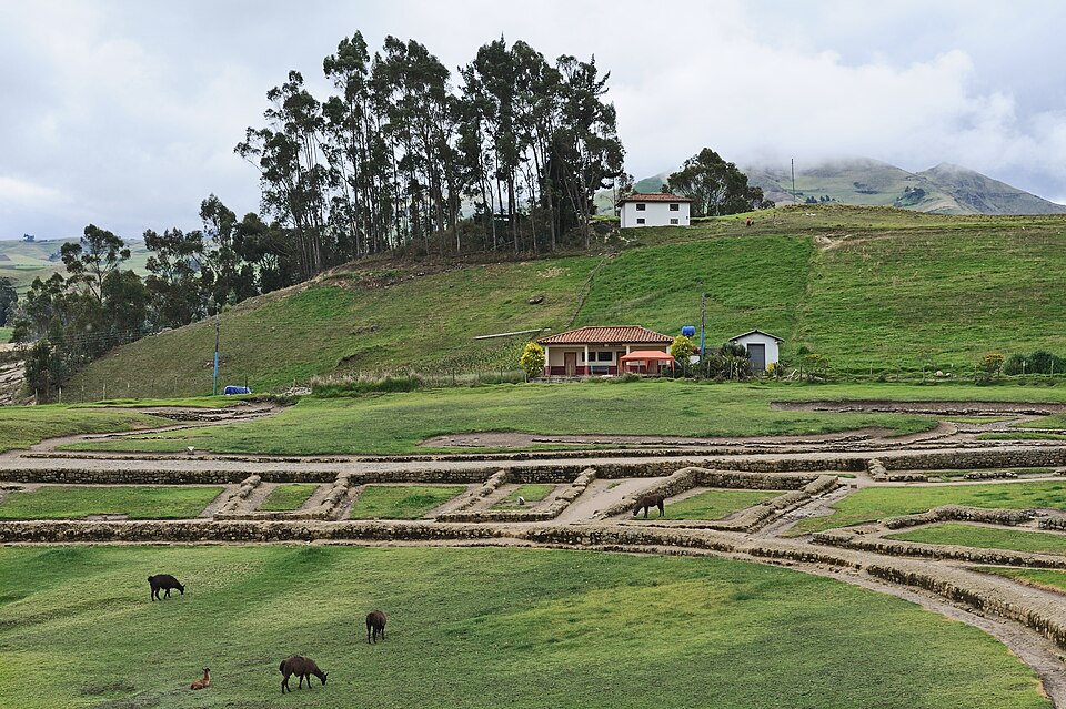 Ecuador — B2B and wholesale portals for local businesses