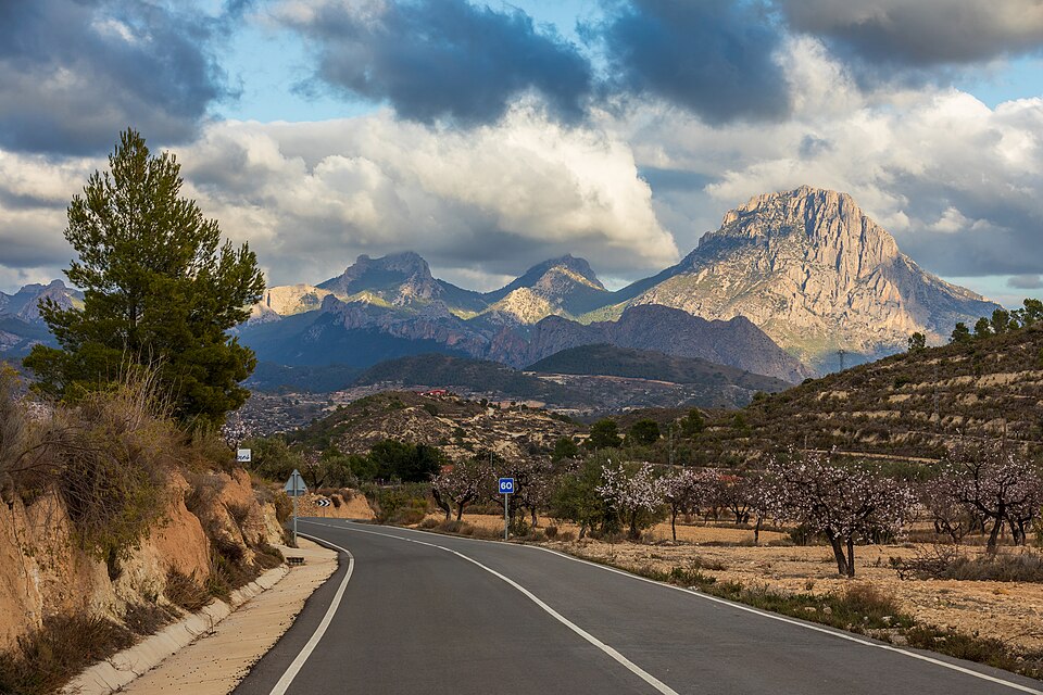Alicante — service booking platforms for local businesses