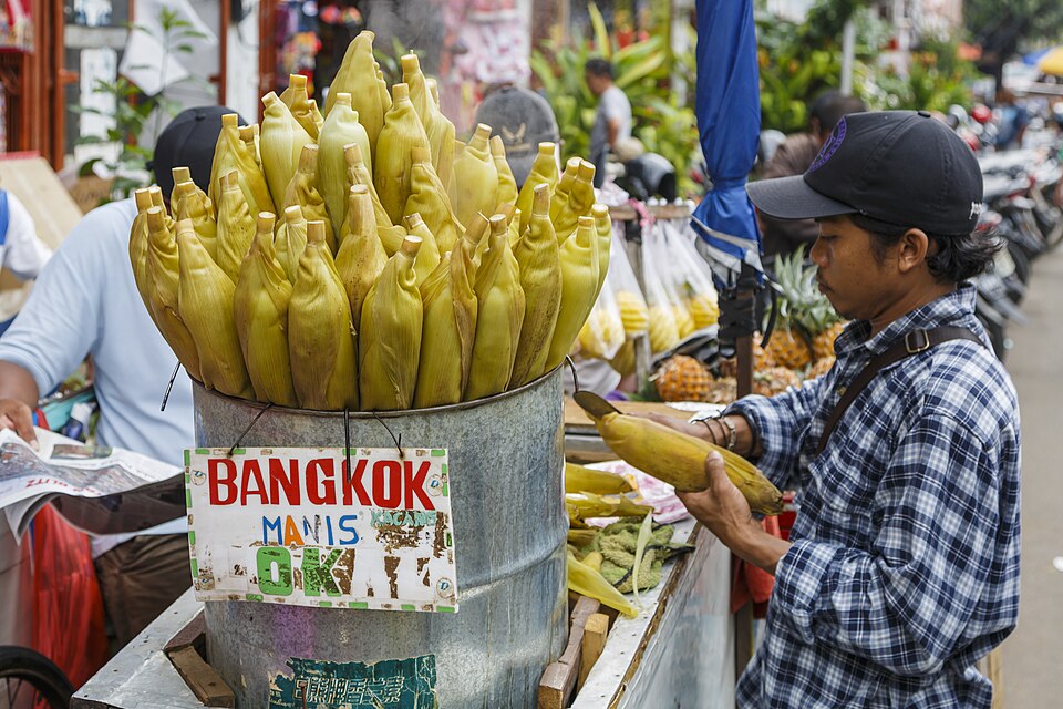 Indonesia — mobile commerce apps for local businesses