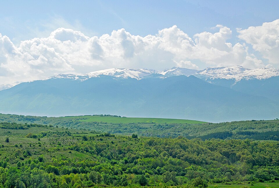 Bulgaria — local market for B2B and wholesale portals