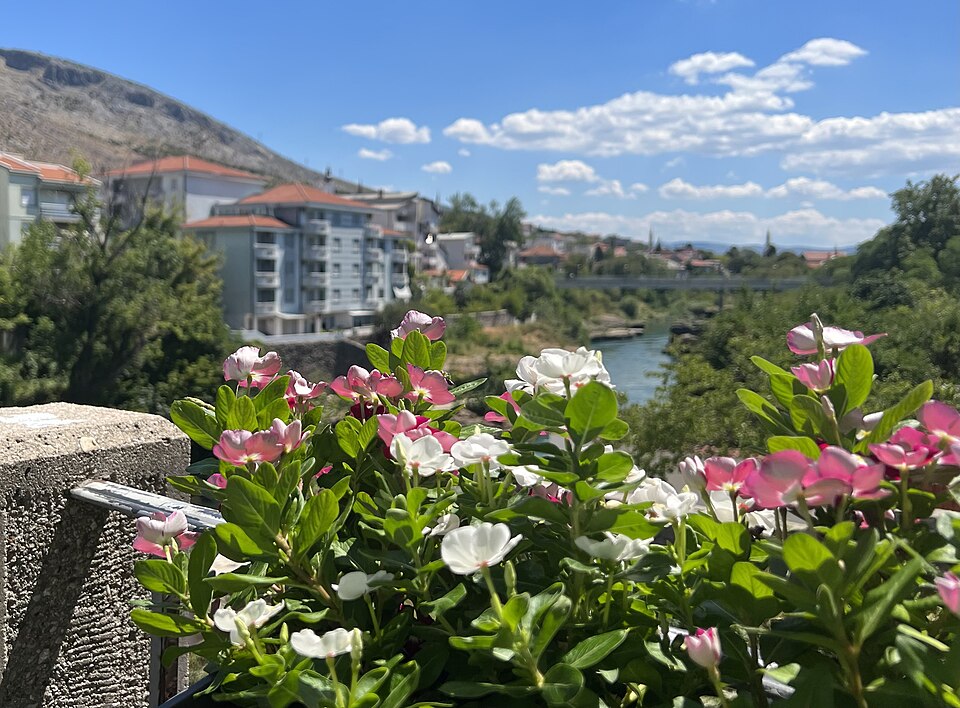 Mostar — local market for international and multi-region stores
