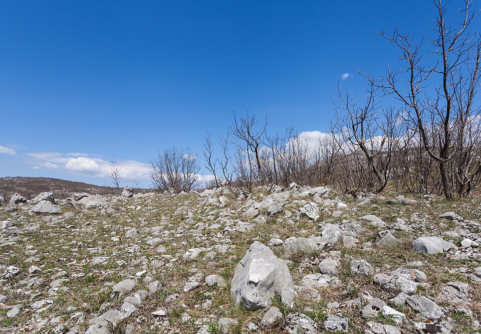 Montenegro — online stores for local businesses