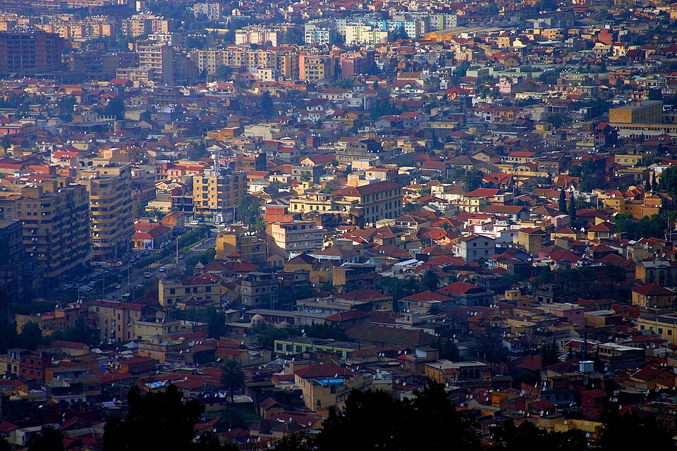 Blida — local market for B2B and wholesale portals