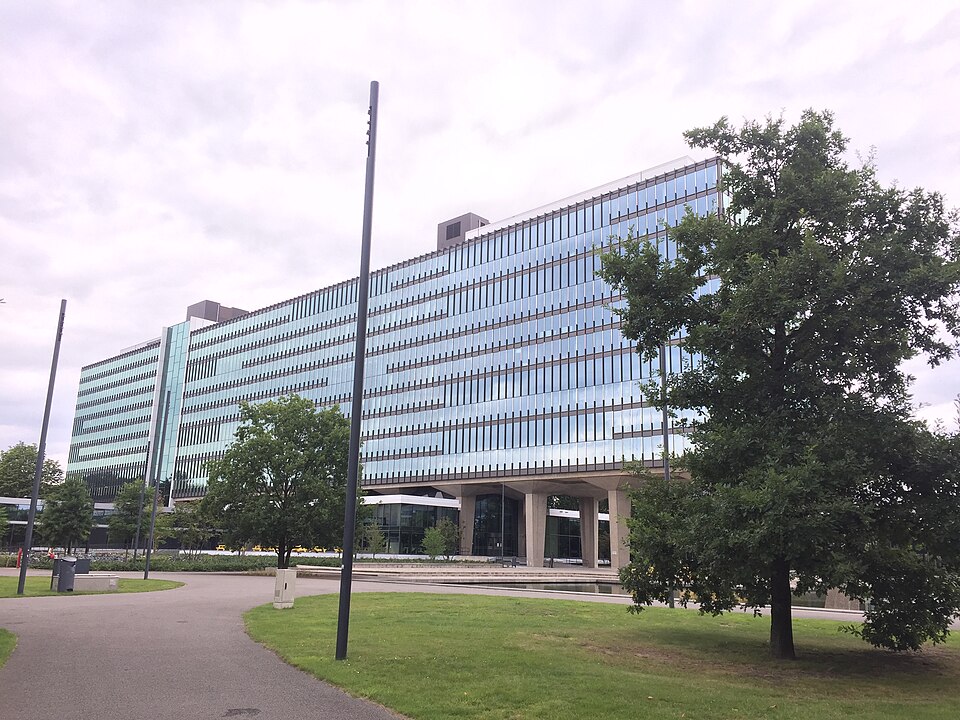Eindhoven — multi-vendor marketplaces for local businesses