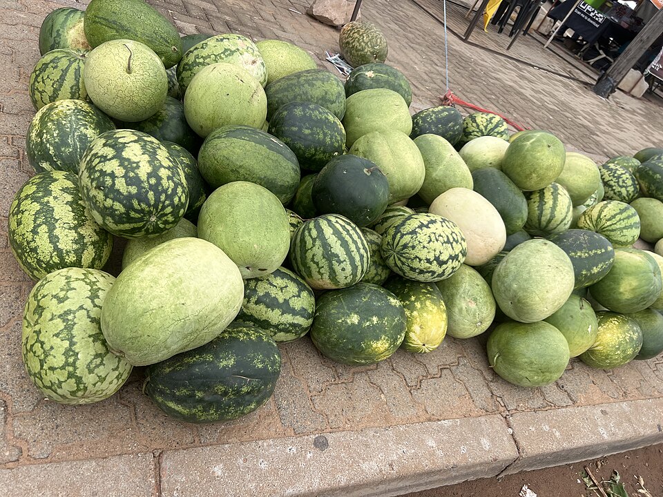 Palapye — local market for manufacturer and distributor portals