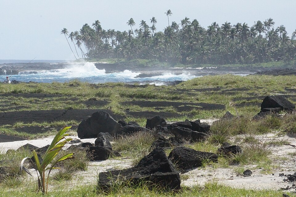 Samoa — local market for service booking platforms