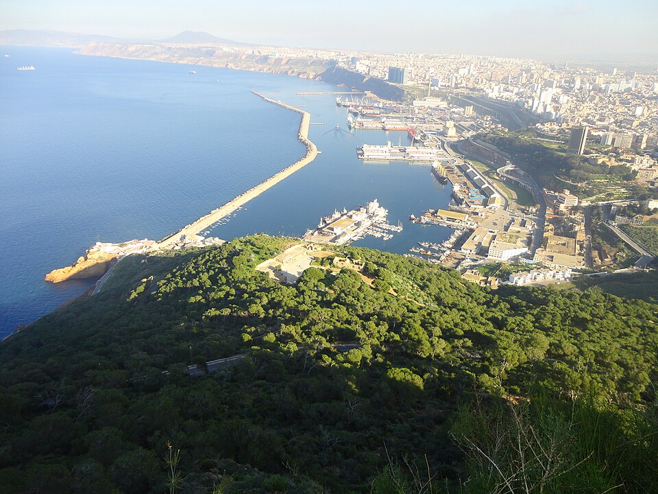 Oran — online stores for local businesses