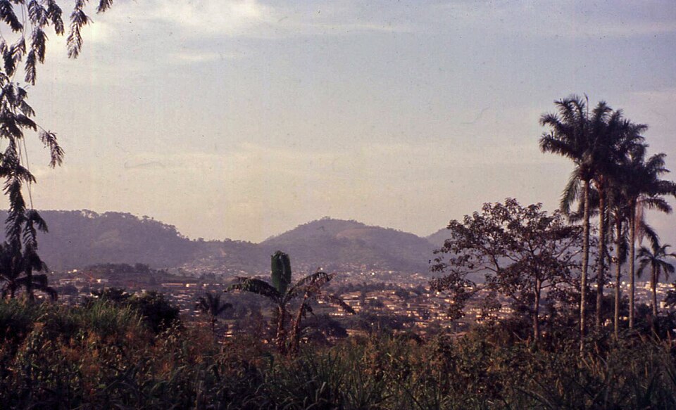 Yaoundé — local market for international and multi-region stores