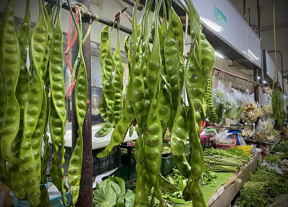 Udon Thani — international and multi-region stores for local businesses