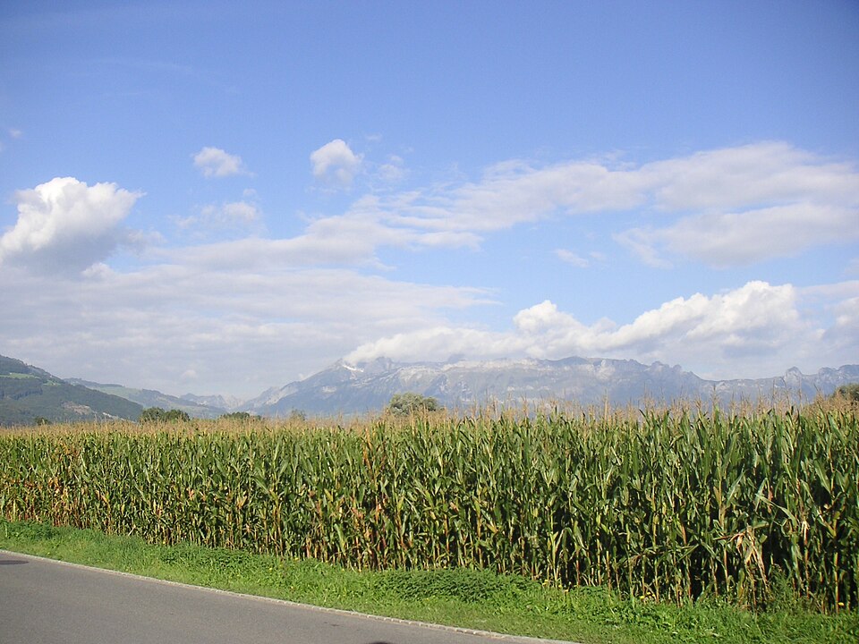 Vaduz — local market for service booking platforms