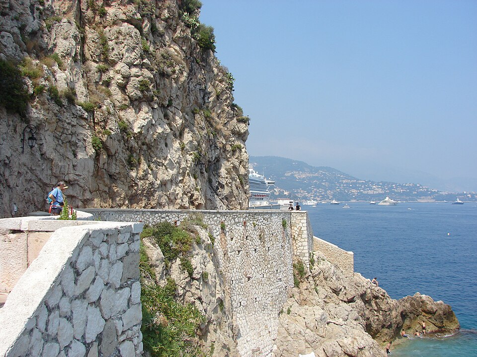 Monaco — local market for service booking platforms