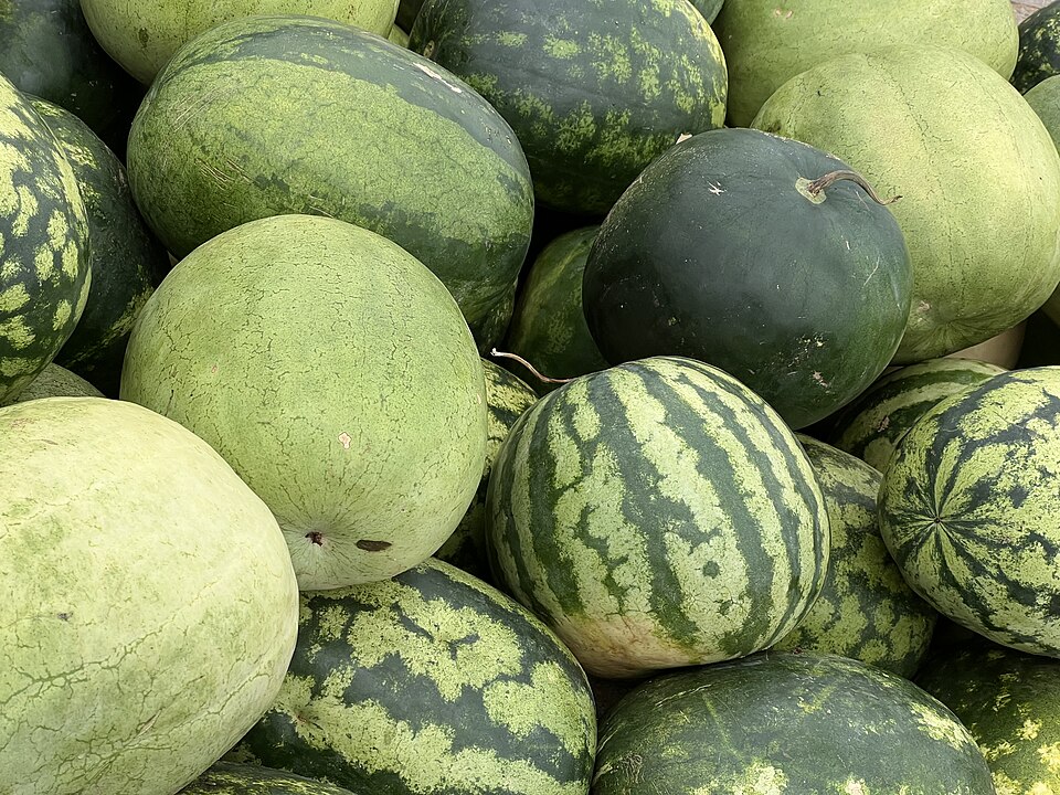 Palapye — local market for international and multi-region stores