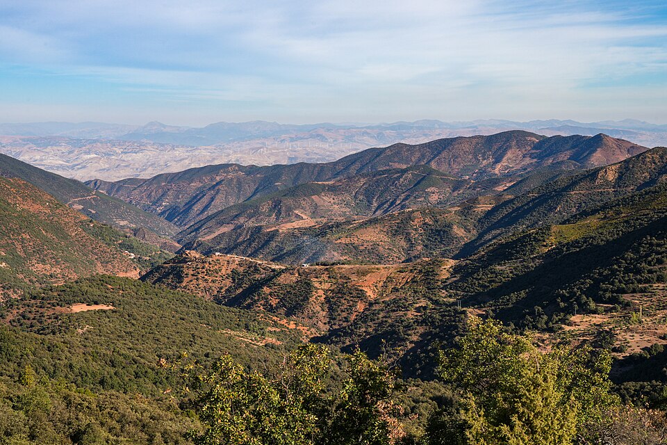 Morocco — local market for service booking platforms