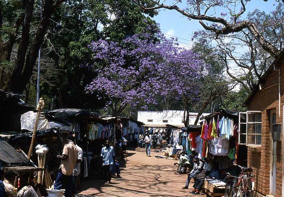 Zomba — local market for B2B and wholesale portals
