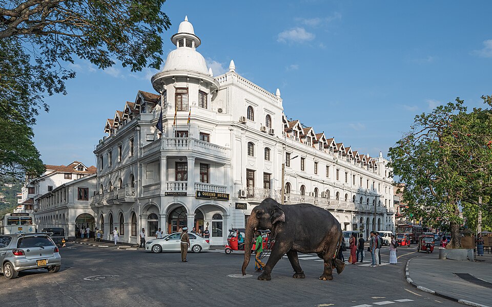 Kandy — local market for online stores