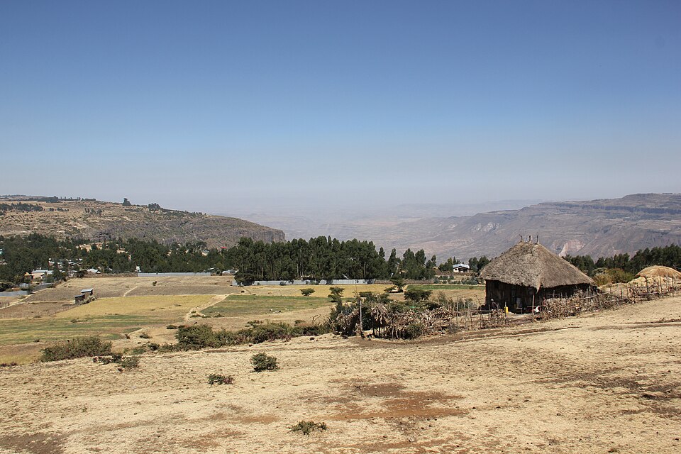 Ethiopia — manufacturer and distributor portals for local businesses
