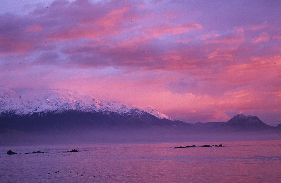 New Zealand — online stores for local businesses
