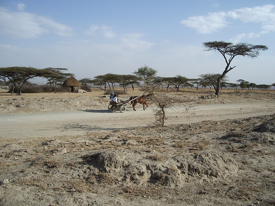 Ethiopia — mobile commerce apps for local businesses