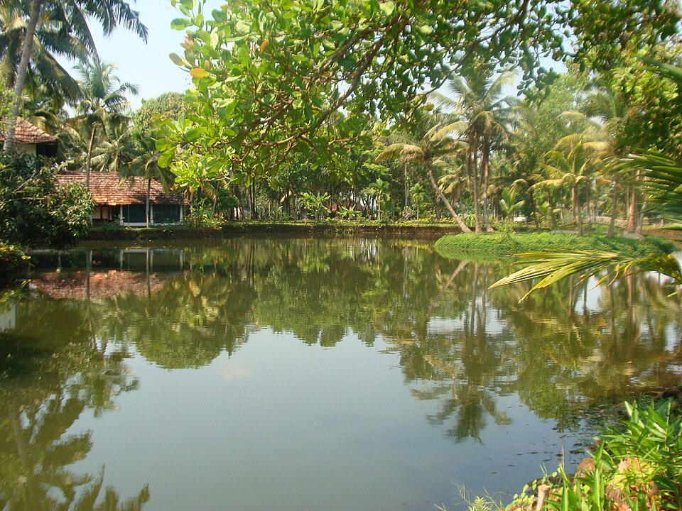 Kottayam — service booking platforms for local businesses