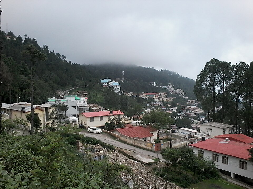 Pauri — local market for subscription and membership platforms