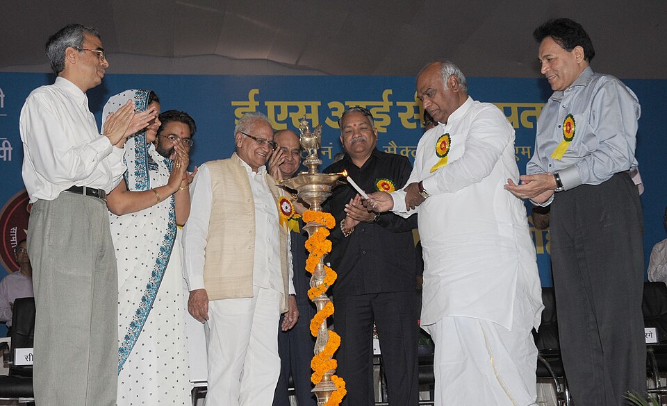 Manesar — international and multi-region stores for local businesses